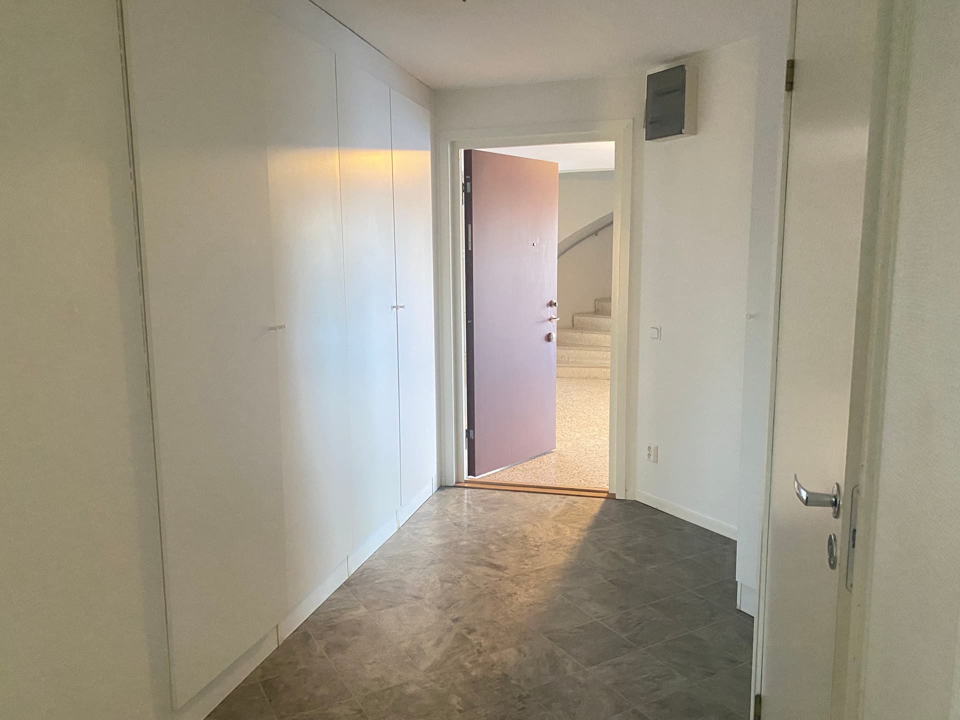 Image - 2026-02-05T084709.693.jpg