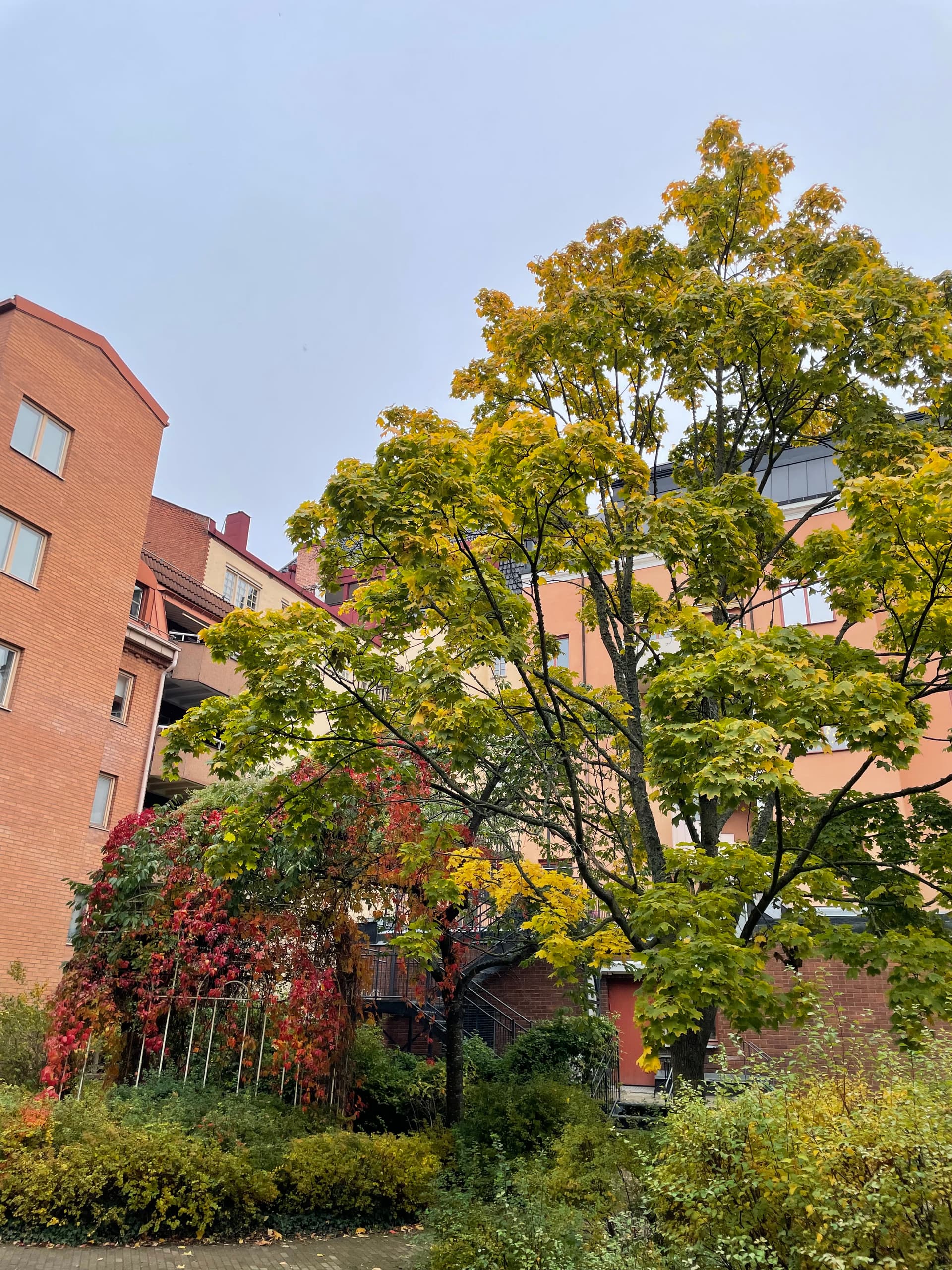 bild -20251023-073358-28f83eef.jpeg