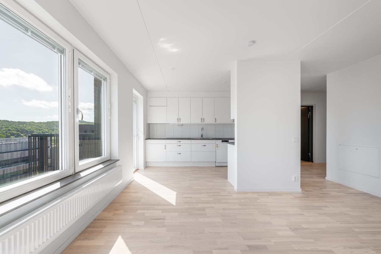 DSC07034-HDR - stor.jpeg