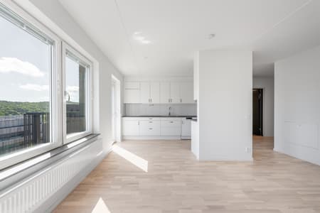 DSC07034-HDR - stor.jpeg