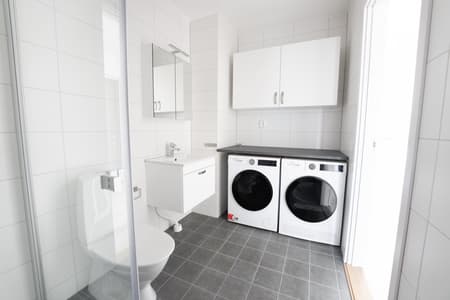 DSC07072 - stor.jpeg