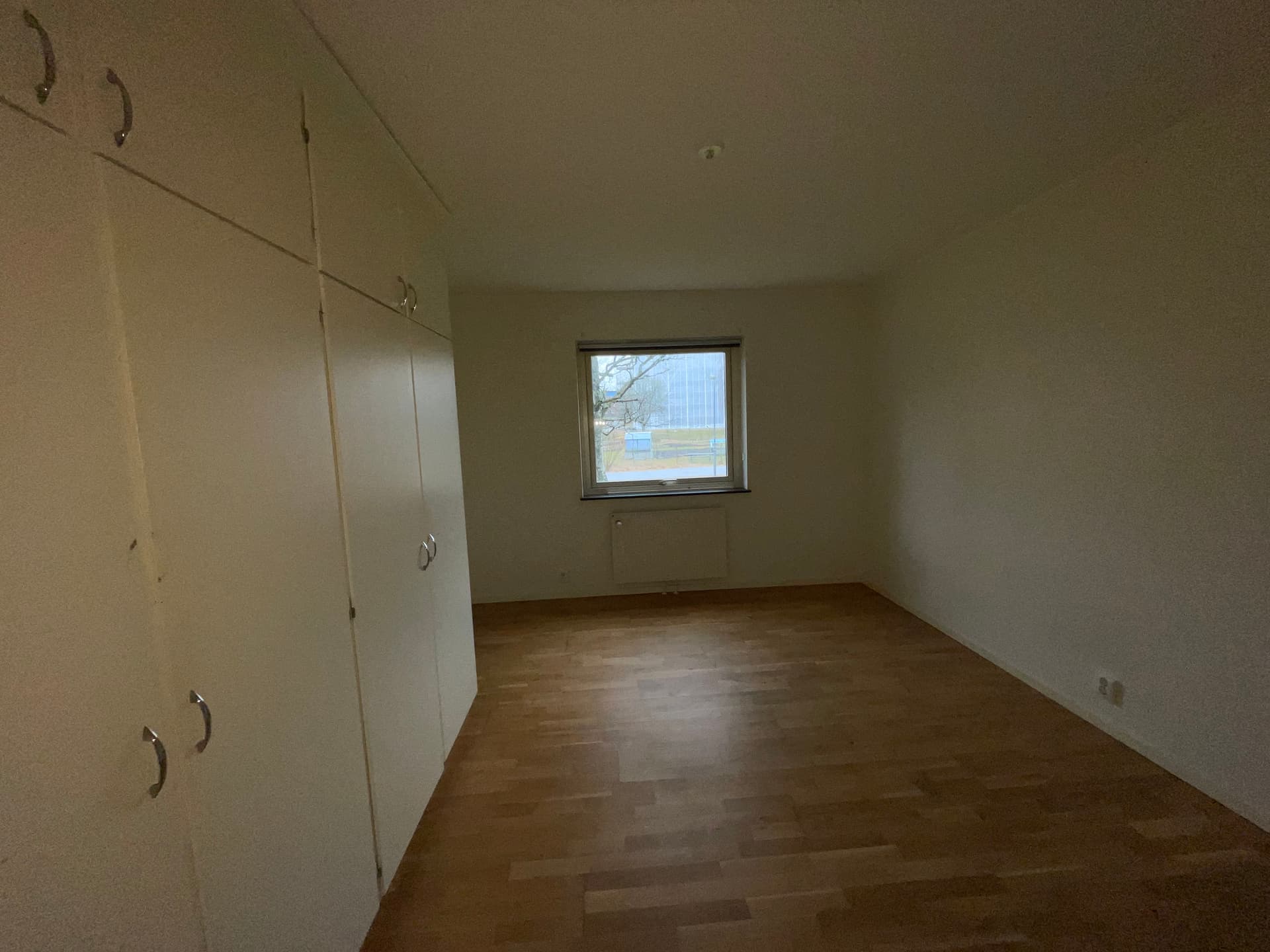 bild -20260316-134249-f35dab0d.jpeg