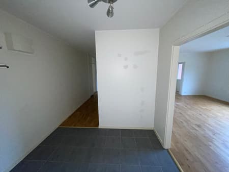 bild -20260316-134118-e2828da5.jpeg