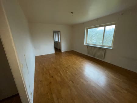 bild -20260316-135434-58cac242.jpeg