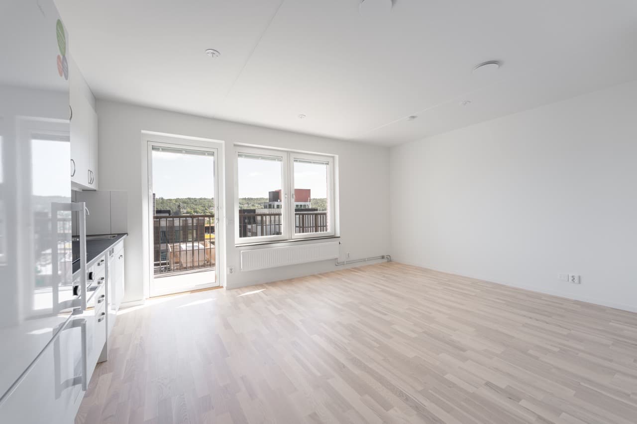 Öppen yta 1 rok.jpeg