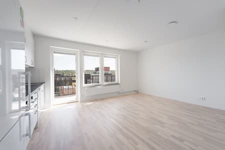 Öppen yta 1 rok.jpeg