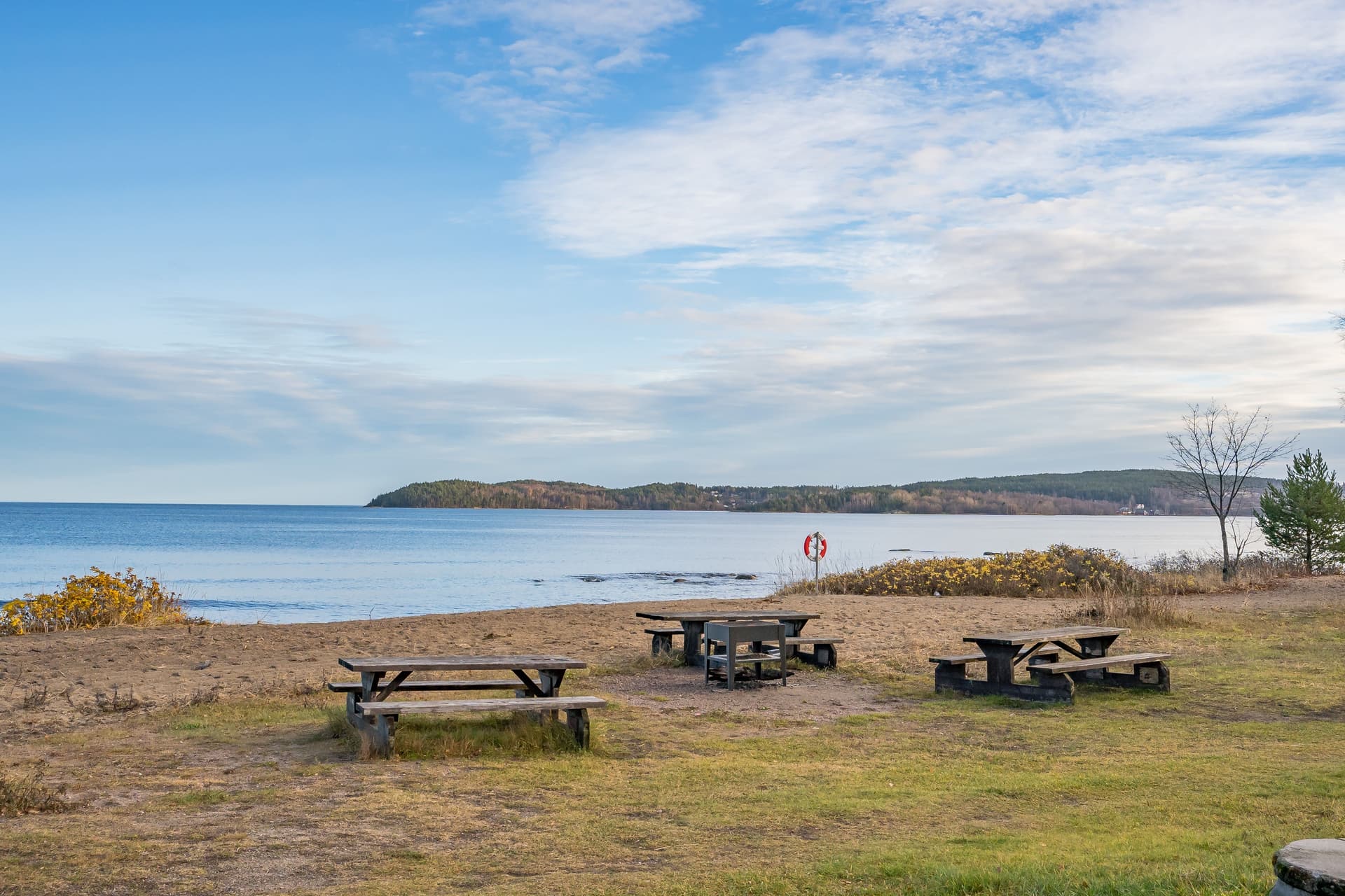 558662-426-1_041 (1).jpg