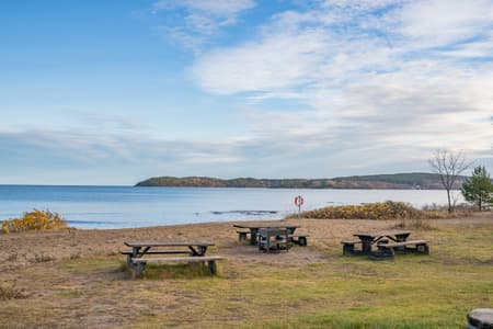 558662-426-1_041 (1).jpg