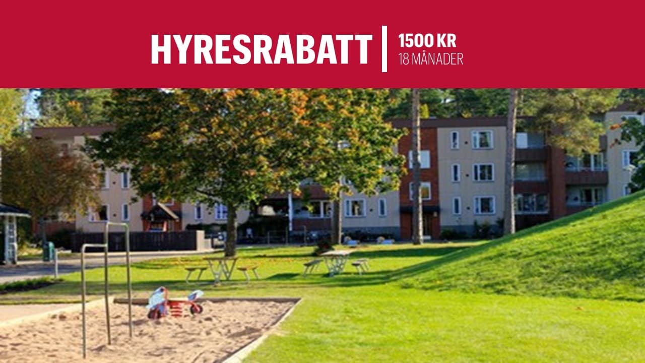 Bild1.JPG