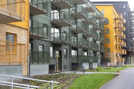 R5__3251.jpg