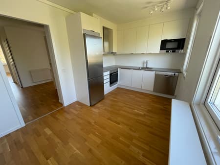 IMG_2155.jpeg