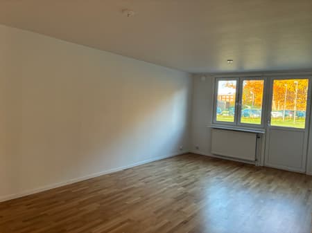 EXEMPELBILDER FRÅN 5005-1691 (10).jpg