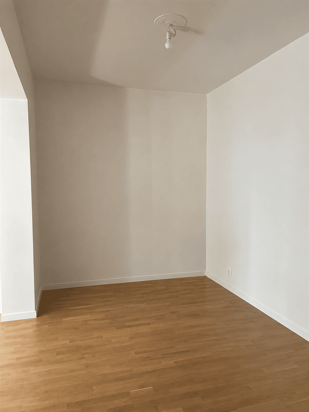 tom hall 70145-0005.png