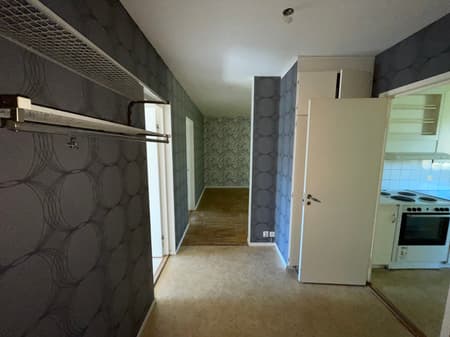 bild -20260507-085457-82174af5.jpeg