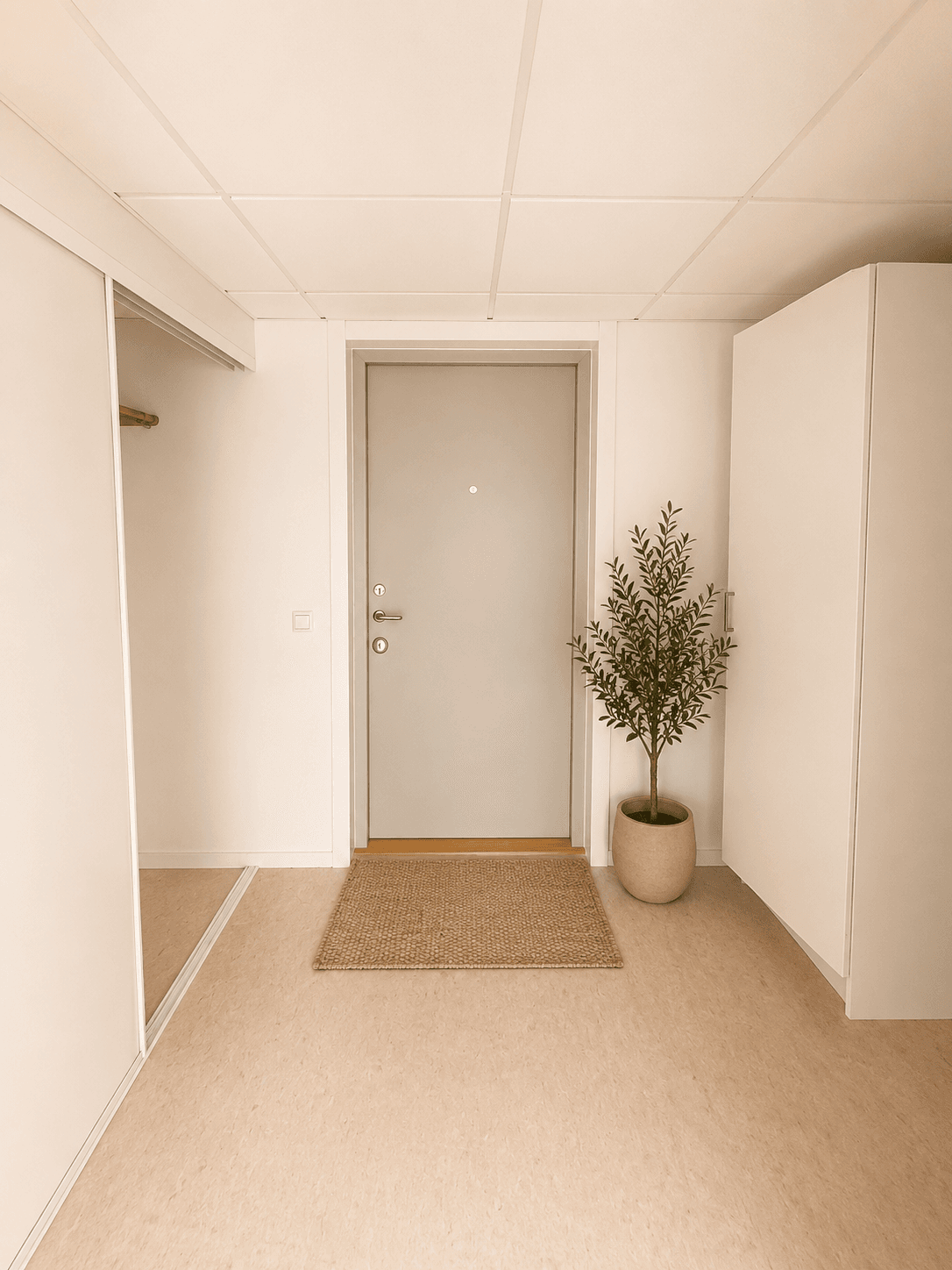 56c36ff1-8251-4de8-b001-e801305d7cc8.png