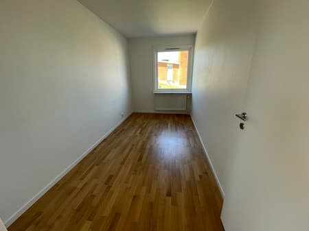 IMG_2565.jpeg