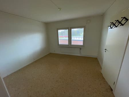 bild -20260511-074256-1de6ee71.jpeg