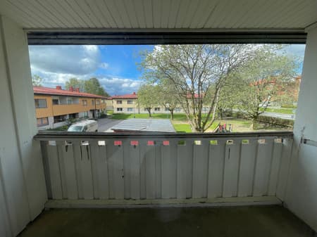 bild -20260511-074456-fa2cdb59.jpeg