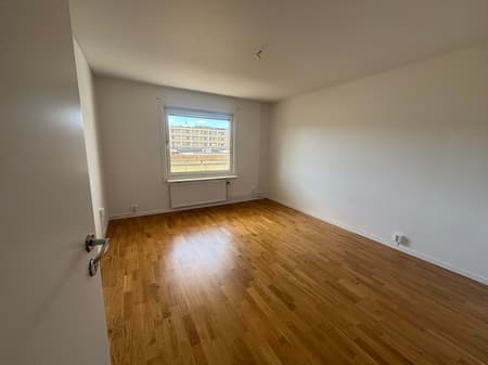 bild (12).jpg