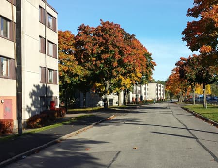 Långströmsgatan.JPG