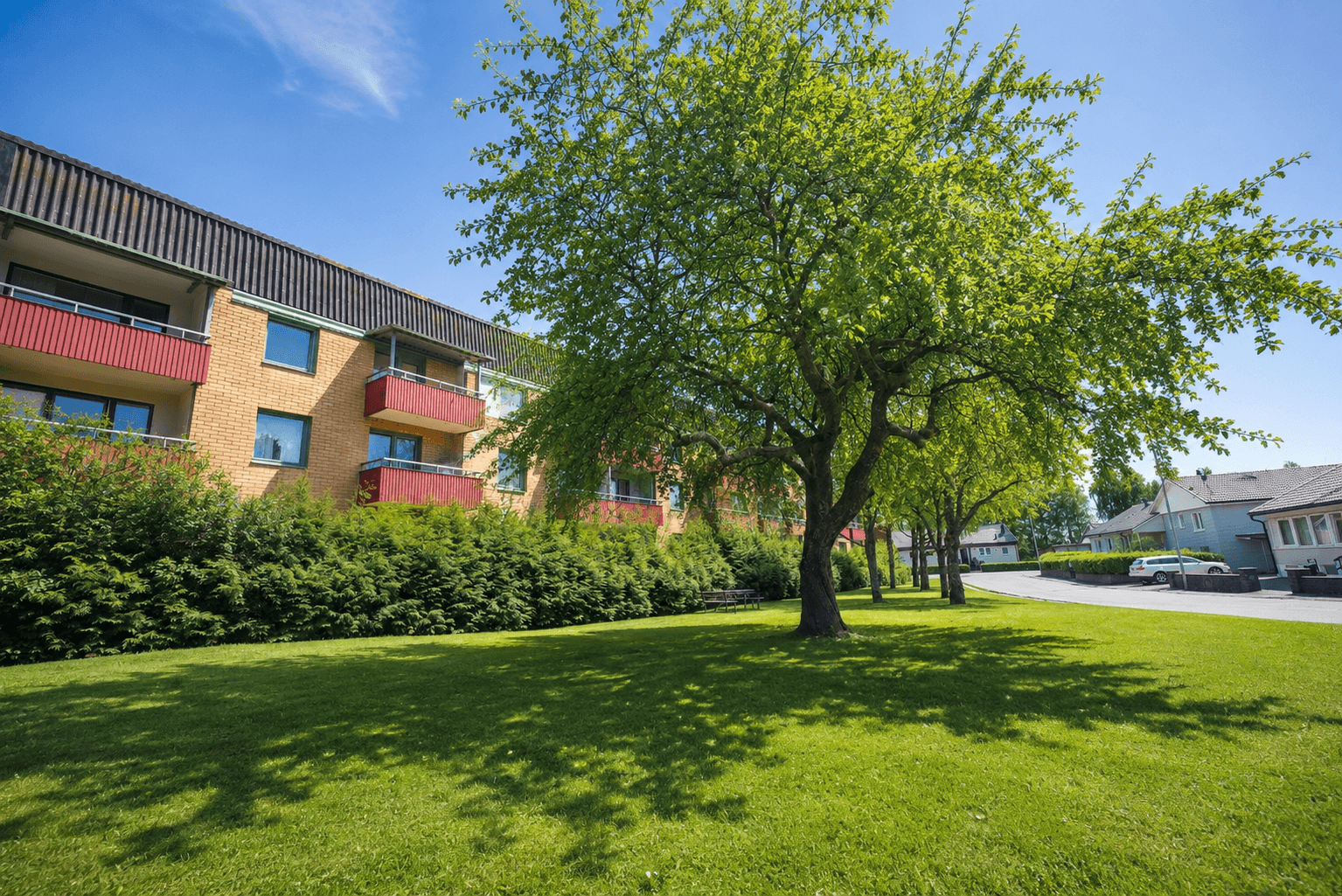 Sommar baksida och träd Renderad Kusk.png