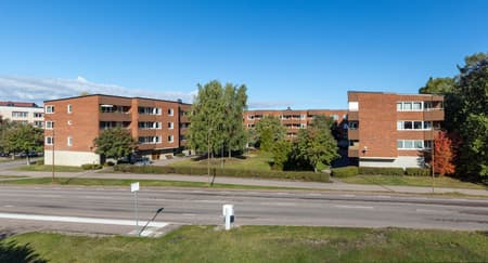Fältis 2.jpg