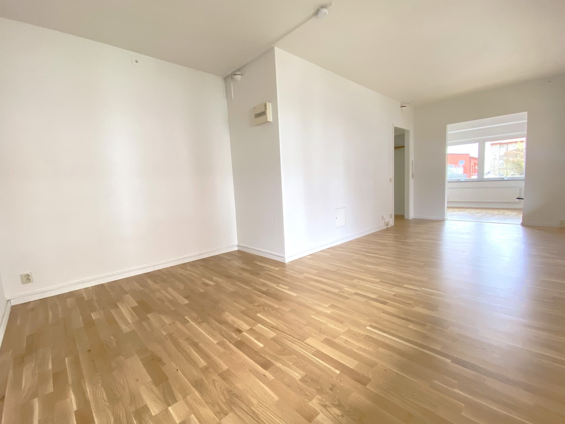 bild (11).jpg