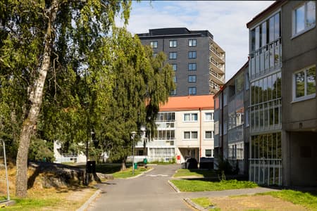 KDbergsjo╠ên_D_R8226.JPG