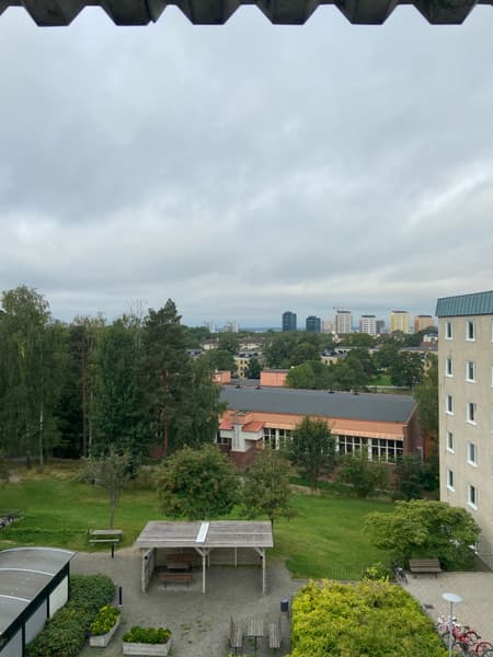 IMG_1254.jpeg