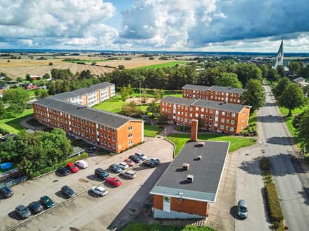 DJI_0154 1.jpg