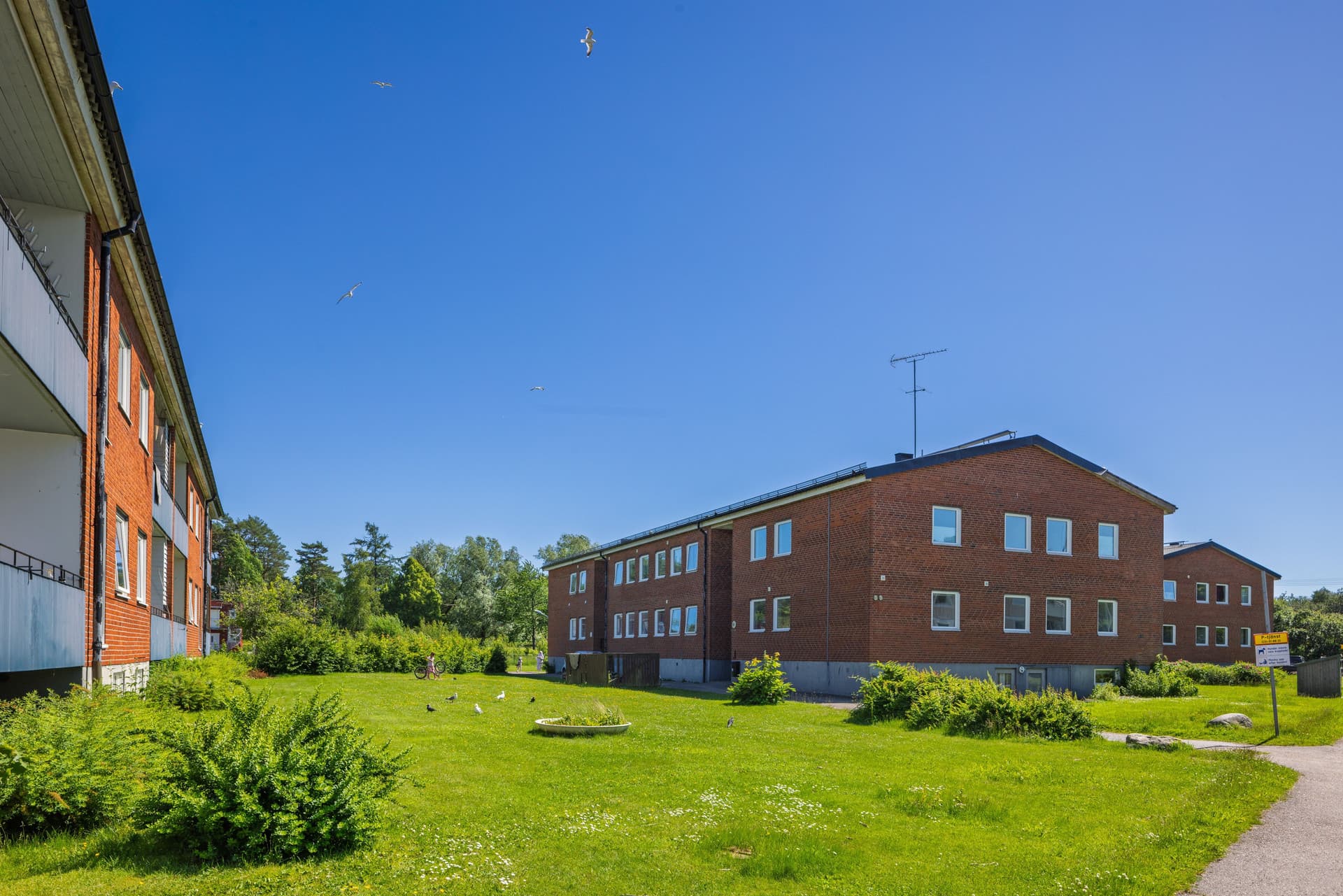 Sommar Slåtterv. 80-82, juni 2026.jpg