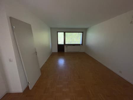 bild -20260507-084633-e5d29d34.jpeg