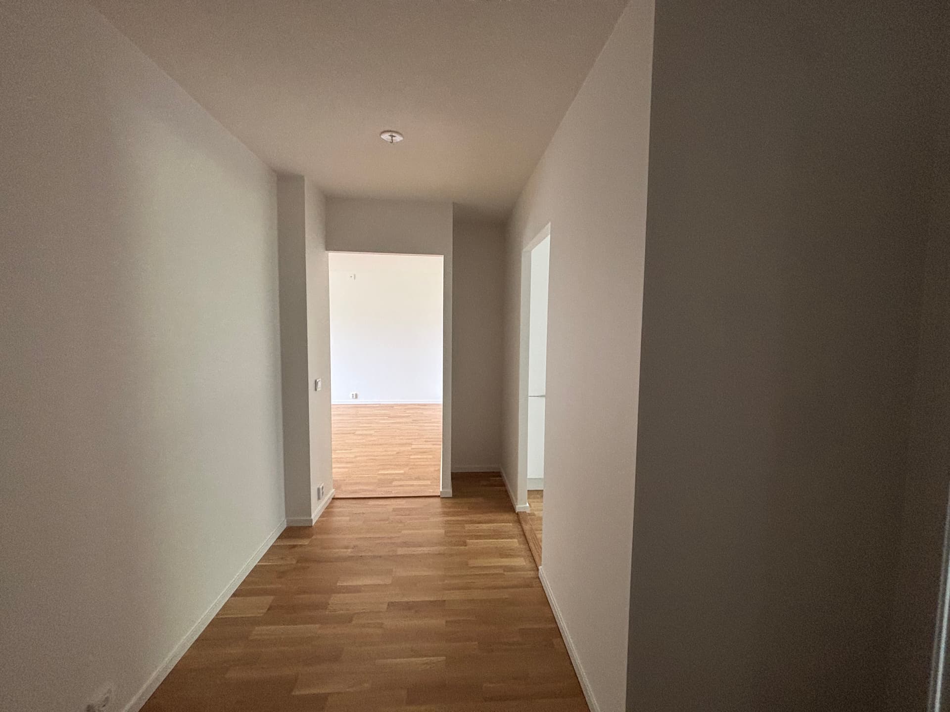 Hall (2).jpeg