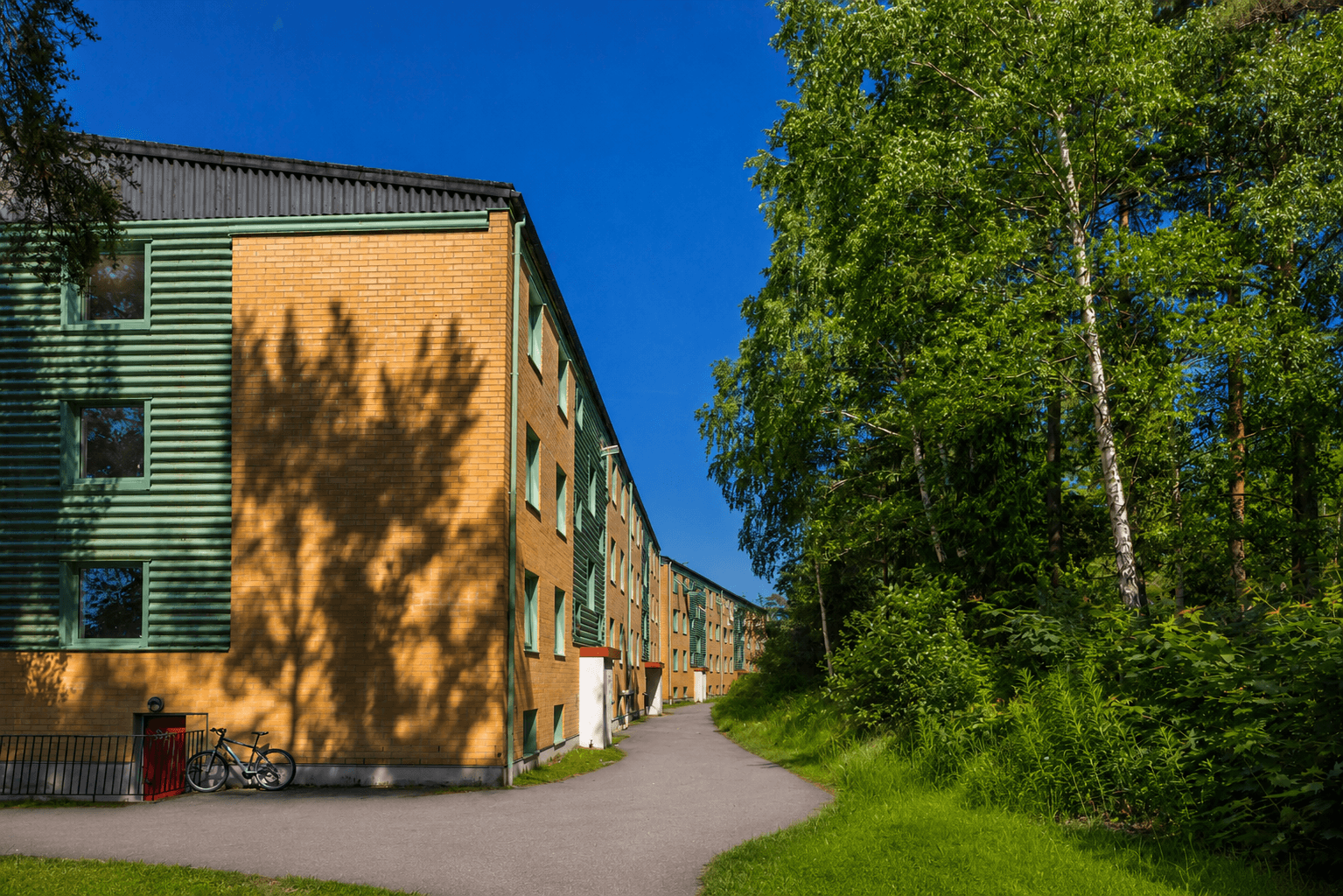 Renderad sommar kuskg. entréer kortsida, juni 2026.png