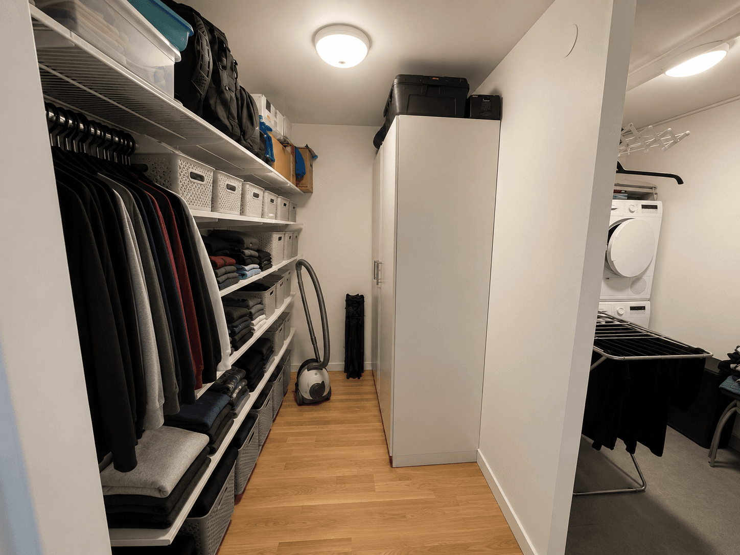1197-0017 (4).png