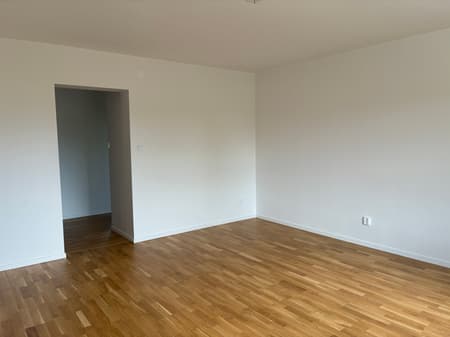 bild (7).jpg