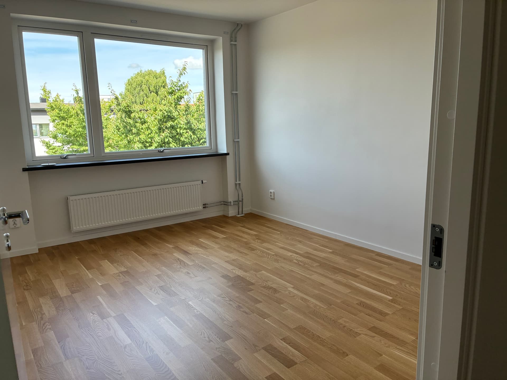 bild (3).jpg