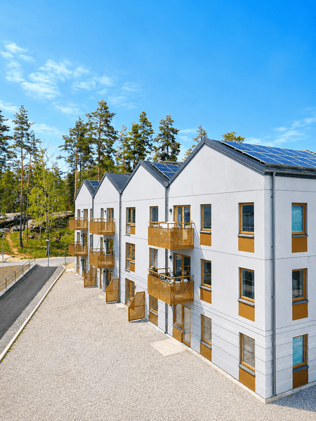 redigerad bild 3.png