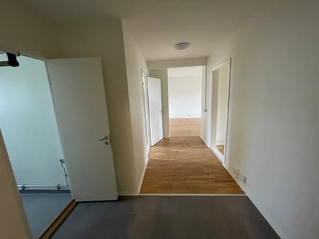 bild -20260309-145721-5702a07b.jpeg