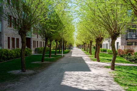 816027-421-1_017.jpg