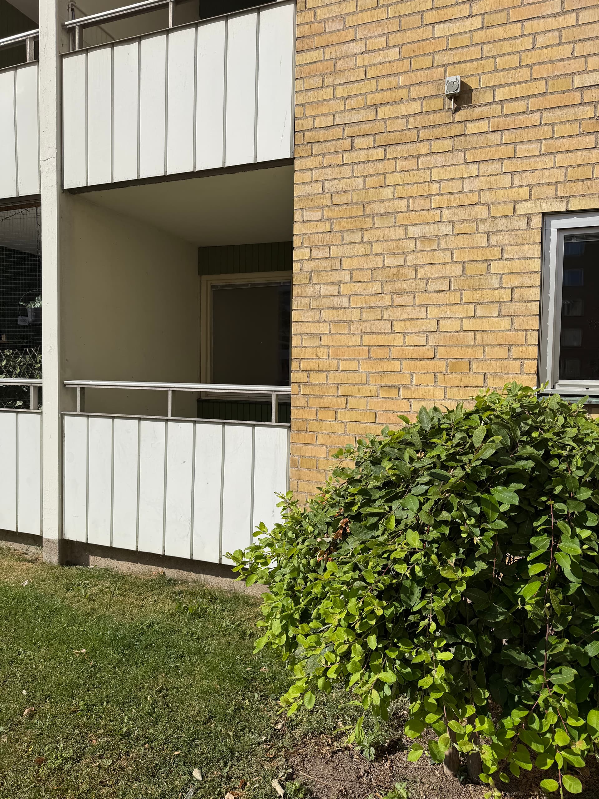 bild -20260820-082250-f3001dd9_3814.jpeg