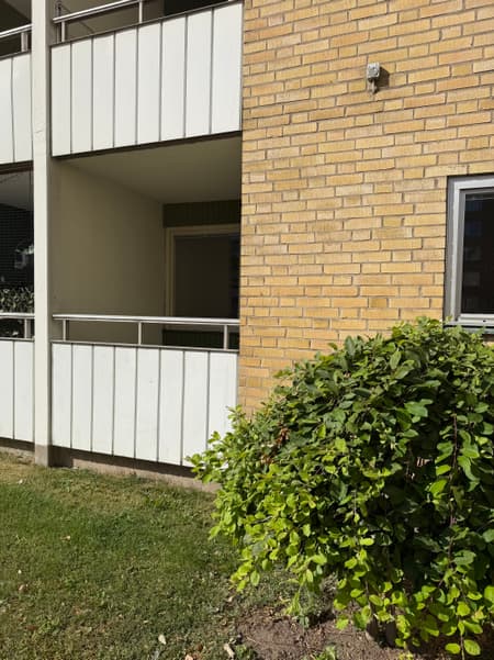 bild -20260820-082250-f3001dd9_3814.jpeg