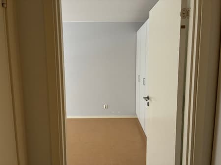 Image (10).jpg