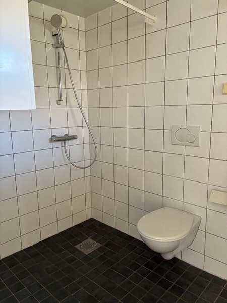 Image (21).jpg