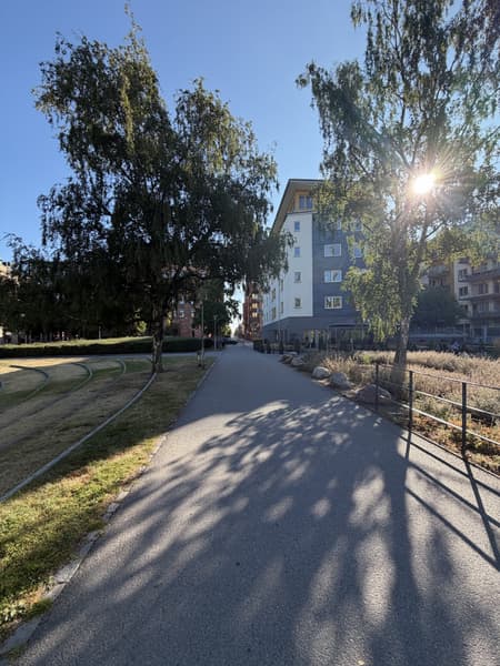 Promenadstråk.jpg
