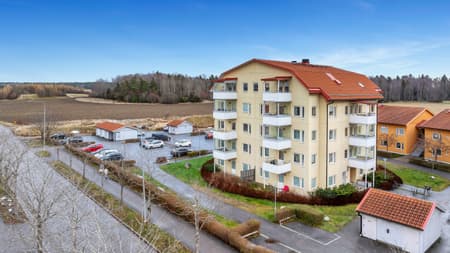 DJI_20241126183200_0050_D.JPG