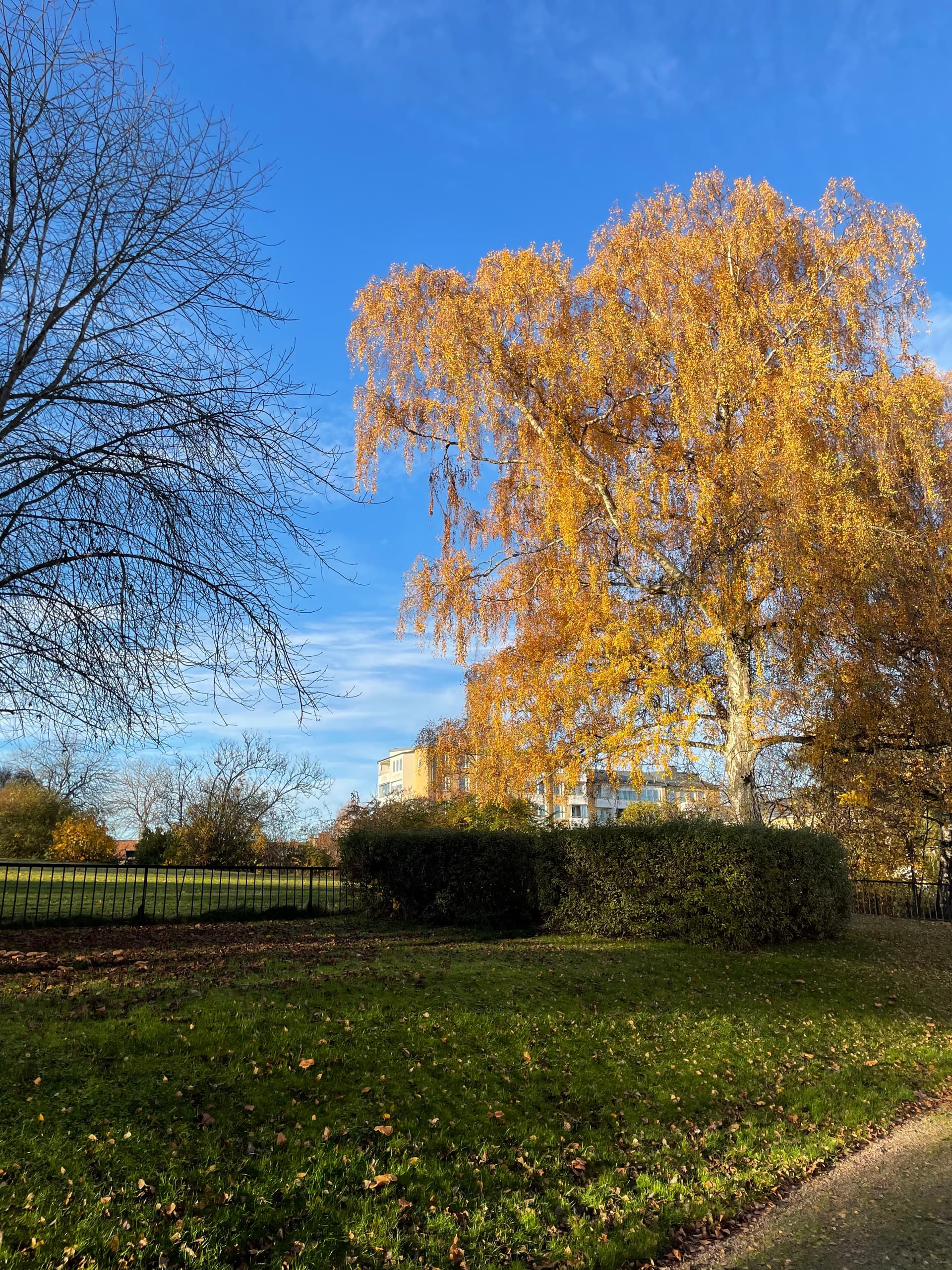 bild -20251107-130210-5838f711.jpeg