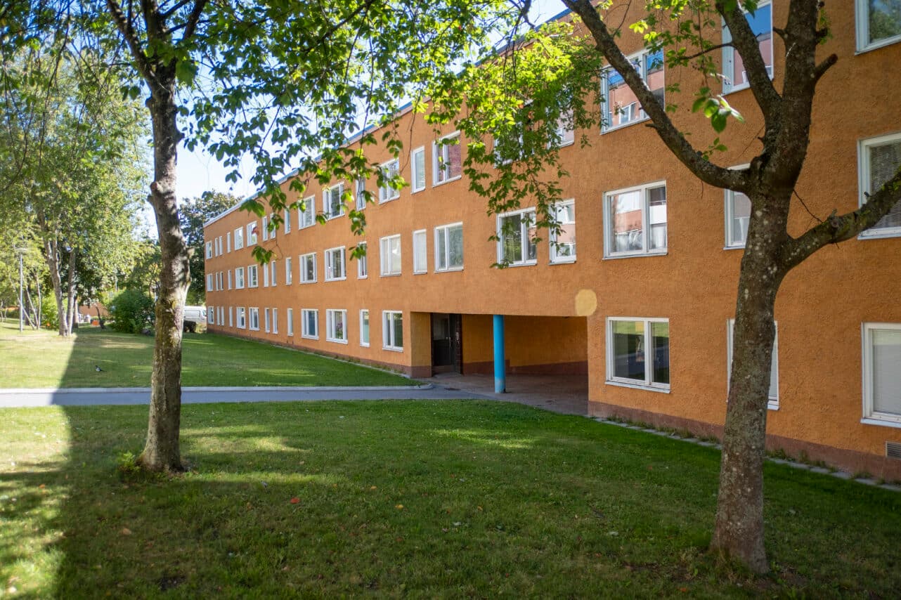 baksida valvet.jpg
