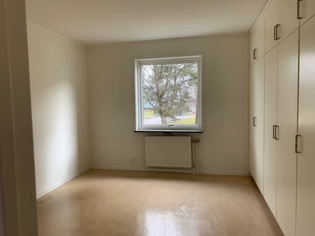 IMG_8895.jpg