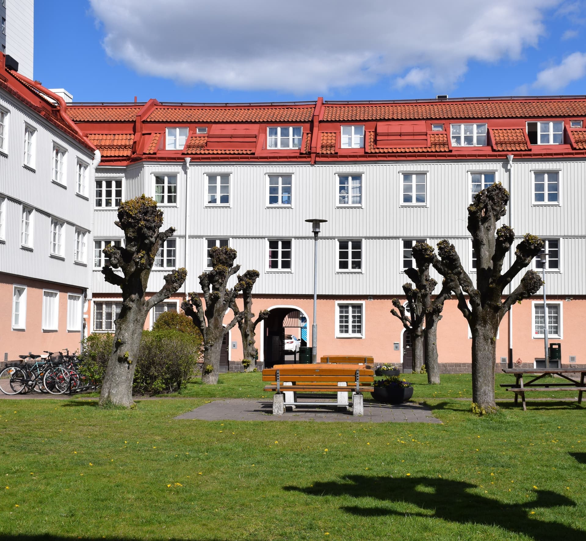 DSC_0149.jpg